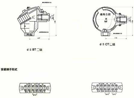 Junction box form of explosion-proof thermocouple